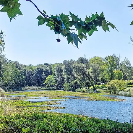 Appartement Les Rivages De Coudouliere-9 By Interhome