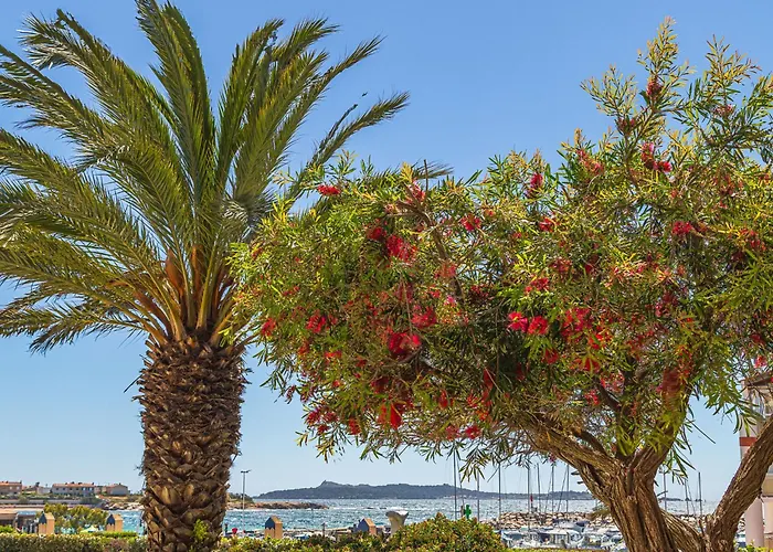 Daire Les Rivages De Coudouliere-9 By Interhome